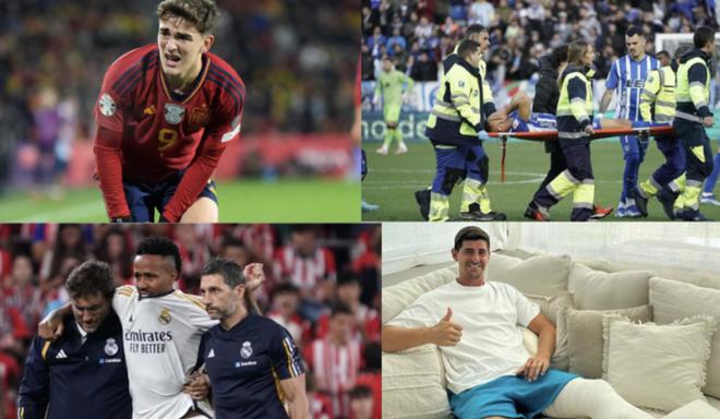 了重要贡献 了重要贡献